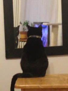 Zelda looking at herself in mirror